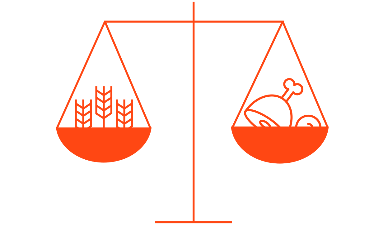 scale weighing grains against meats