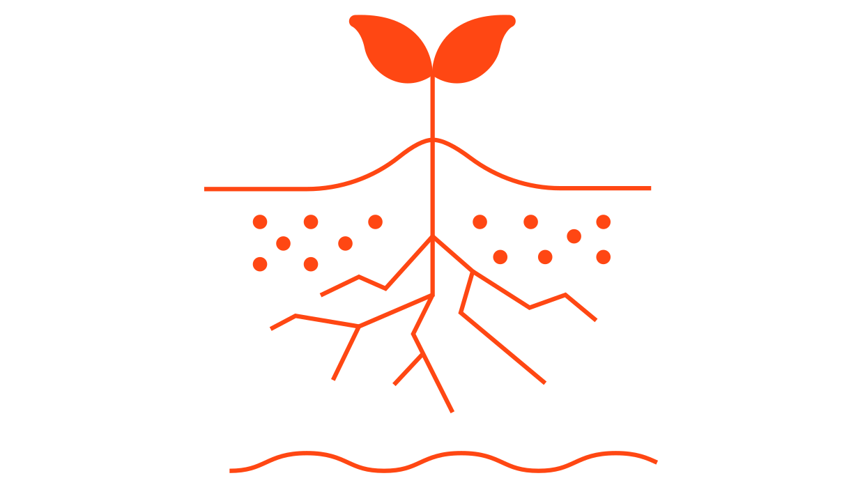 growing plant-based protein