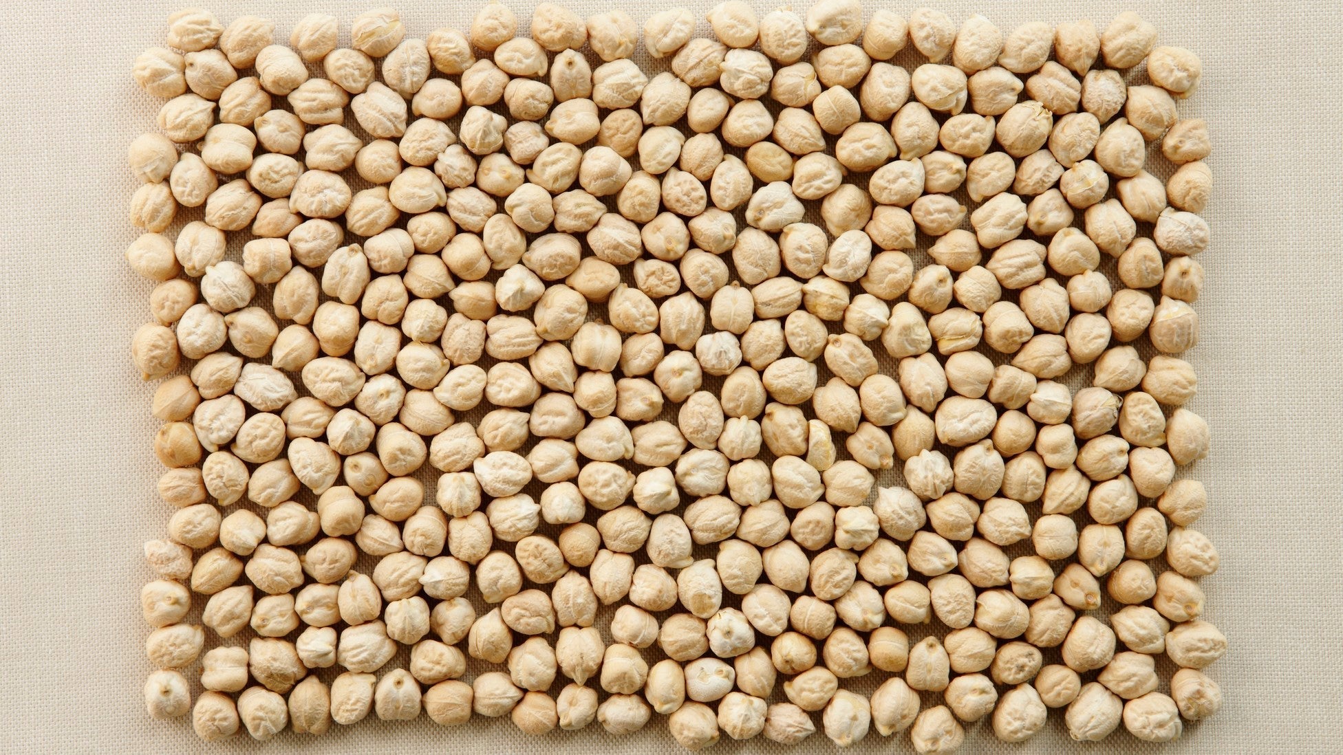 In the Future, Everything Will Be Made of Chickpeas