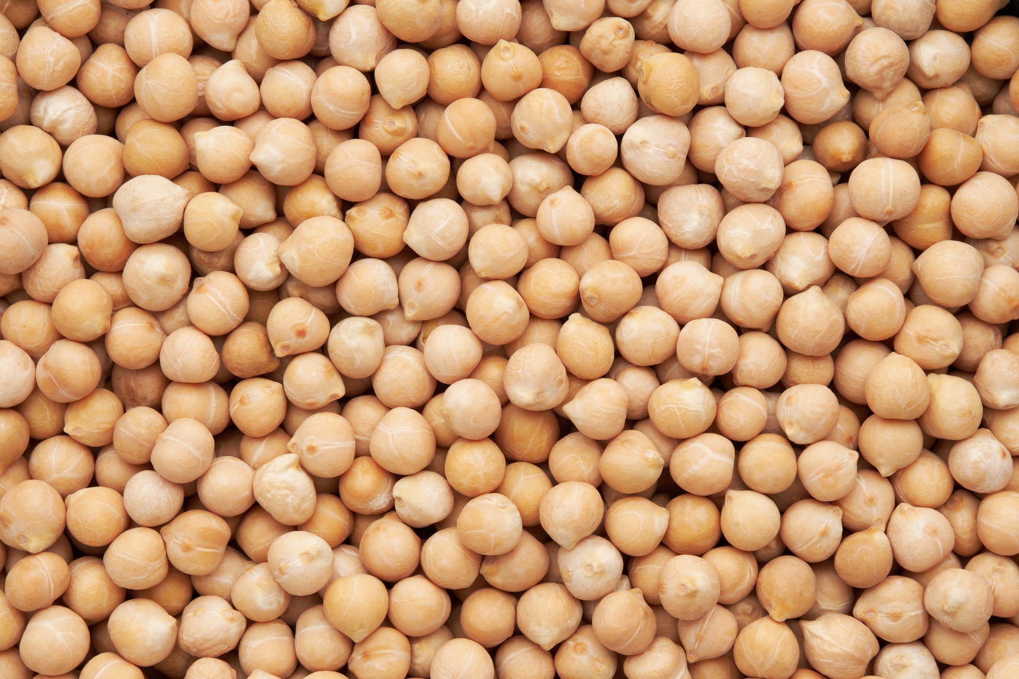 WHAT HAPPENS WHEN PEOPLE SWITCH TO A LEGUME-BASED DIET?